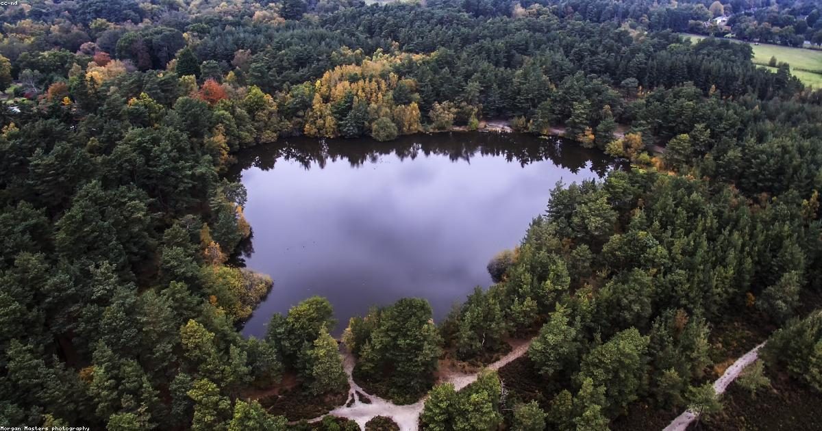 Best Drones for Aerial Photography in 2026: A Buyer's Guide